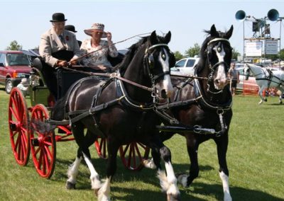 A horse-drawn cart with three passengers at Messingham Show