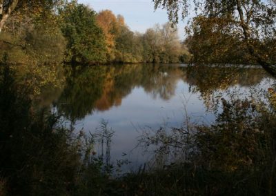 A lake surrounded by trees in a nature reserve near Messingham