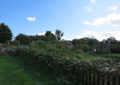 Some of the allotments in Messingham