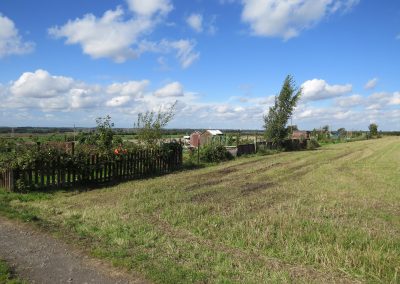 A view of a field next to the allotments in Messingham
